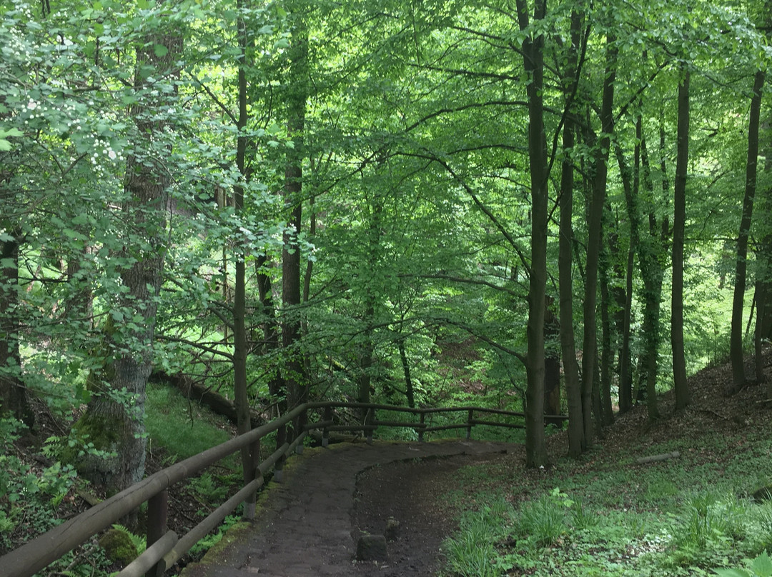 Czech - Saxon Switzerland景点图片