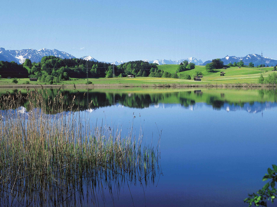 Pension St Leonhard主图