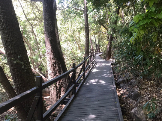 Bowling Green Bay National Park-Alligator Creek必去景点