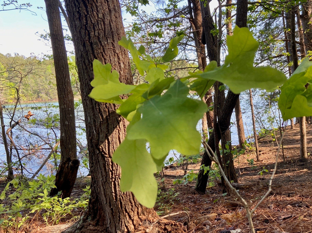 Little Ridge Park-卡明必去景点