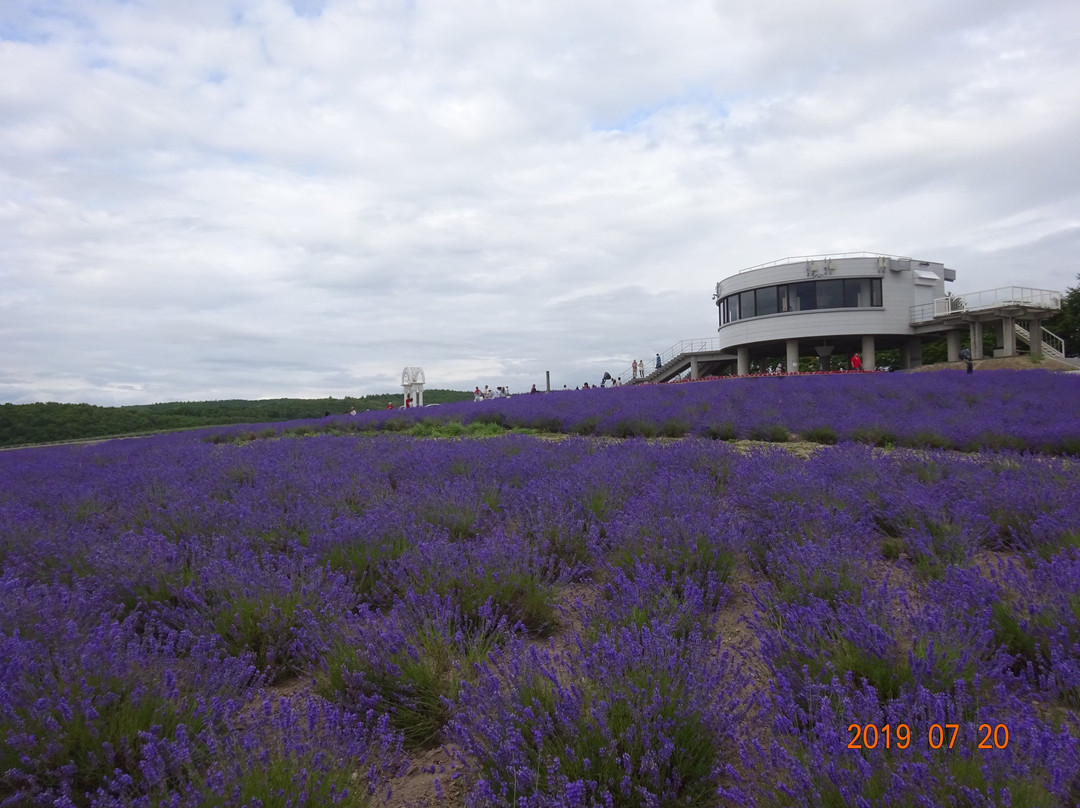 日之出公园-上富良野町必去景点