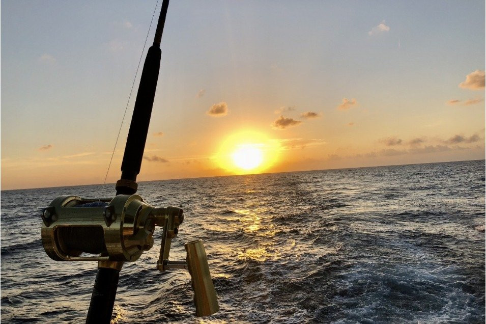 Tulum Sport Fishing-阿范特拉斯港必去景点