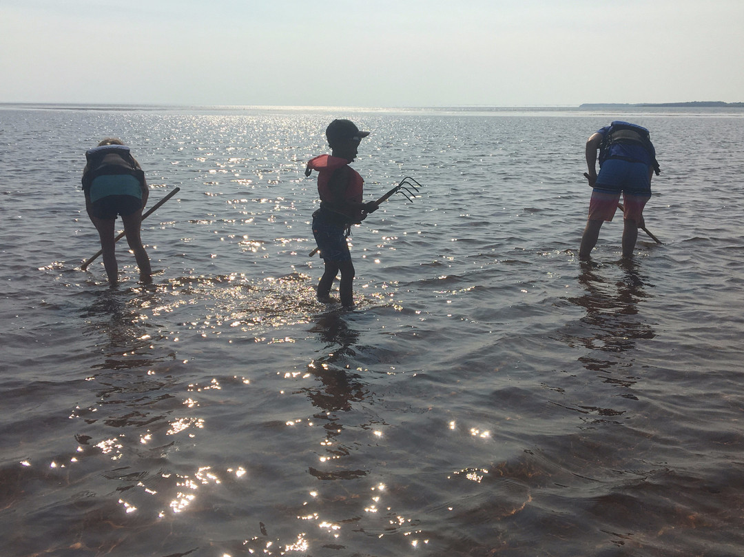 By The Sea Kayaking-Victoria必去景点