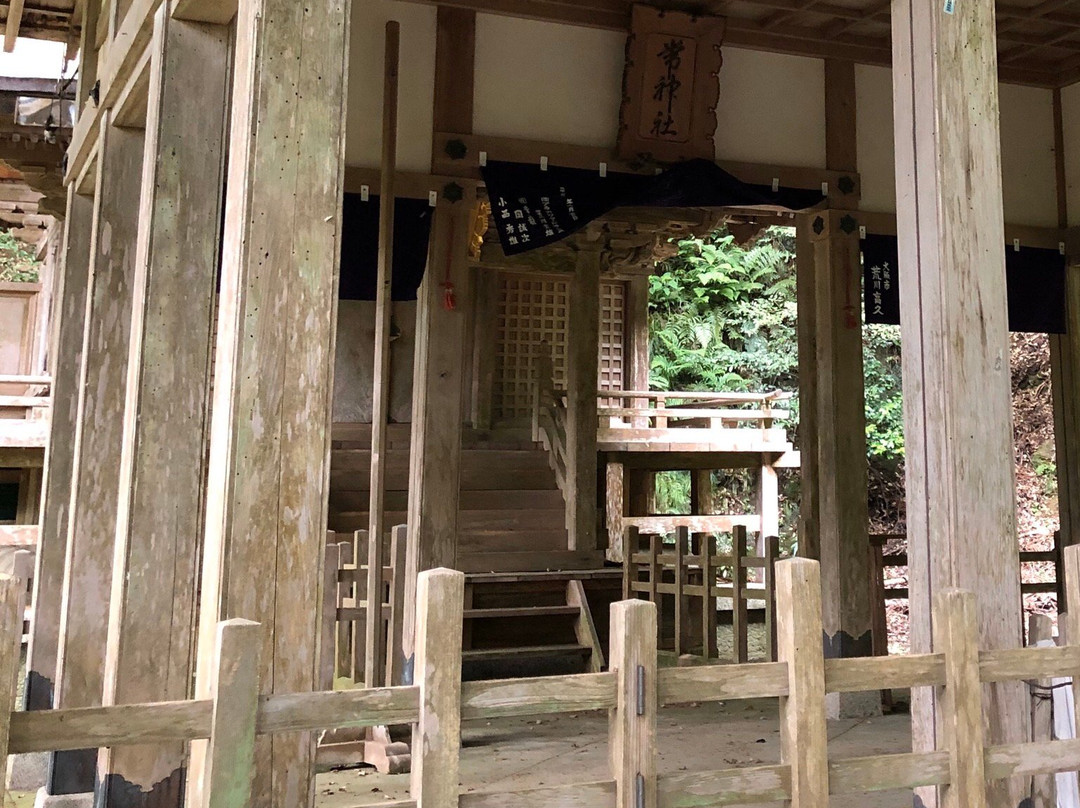Tsune Shrine景点图片