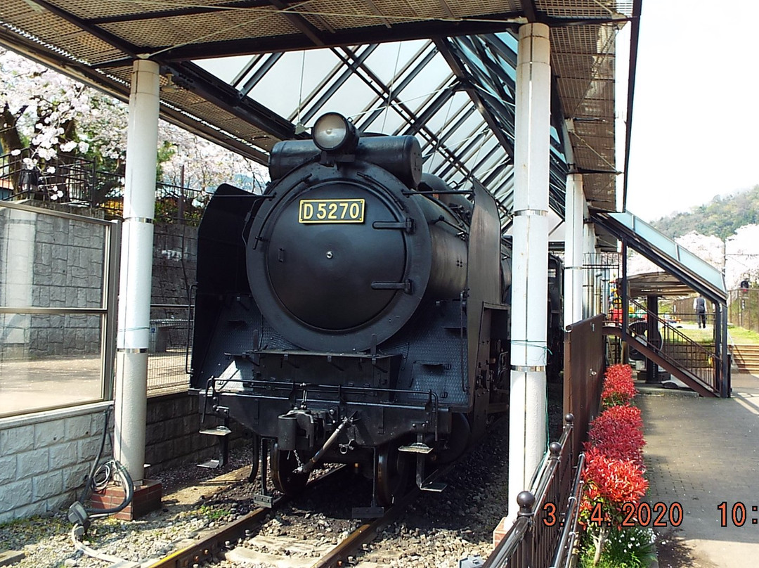 Yamakita Town Railway Park景点图片