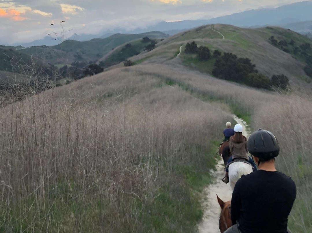 twentynineoaksranch.com-Agoura必去景点