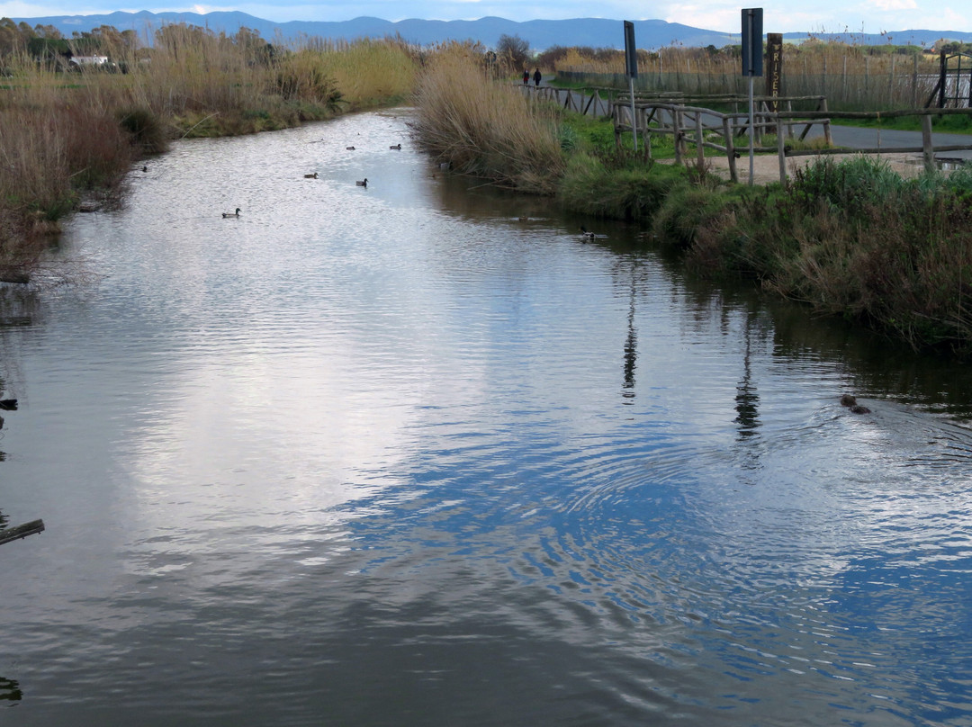 Saline di Tarquinia-塔尔奎尼亚必去景点