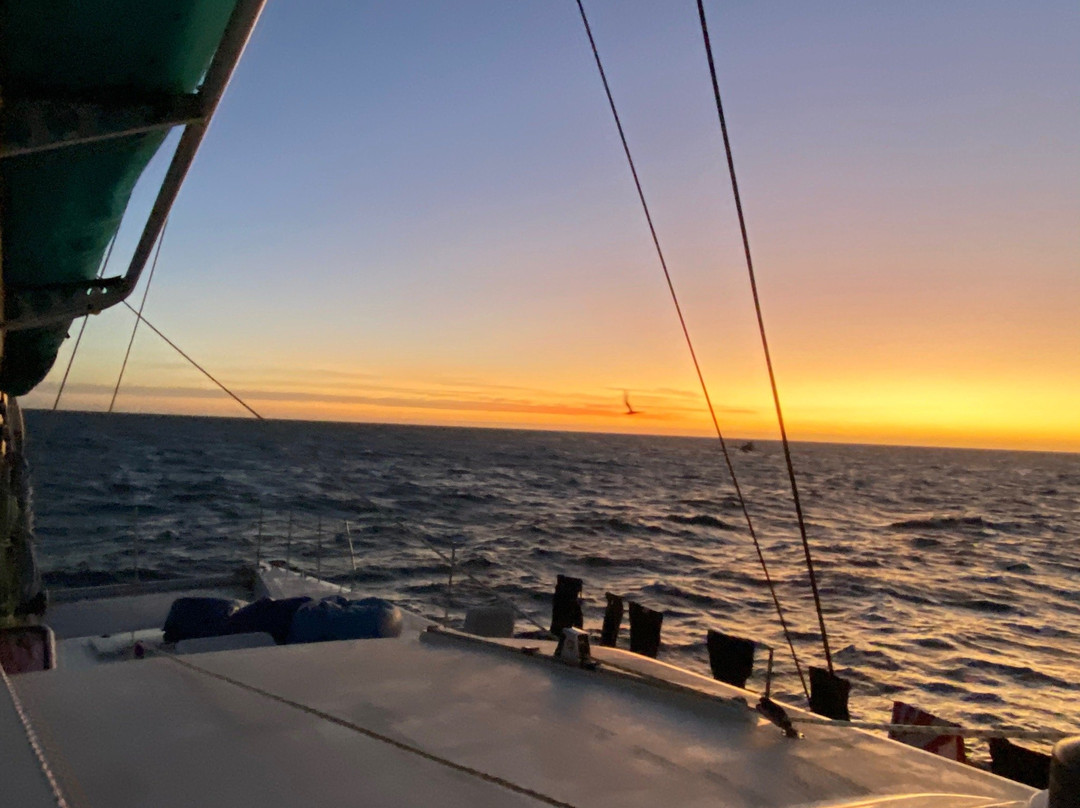 Sail Ningaloo - Shore Thing景点图片