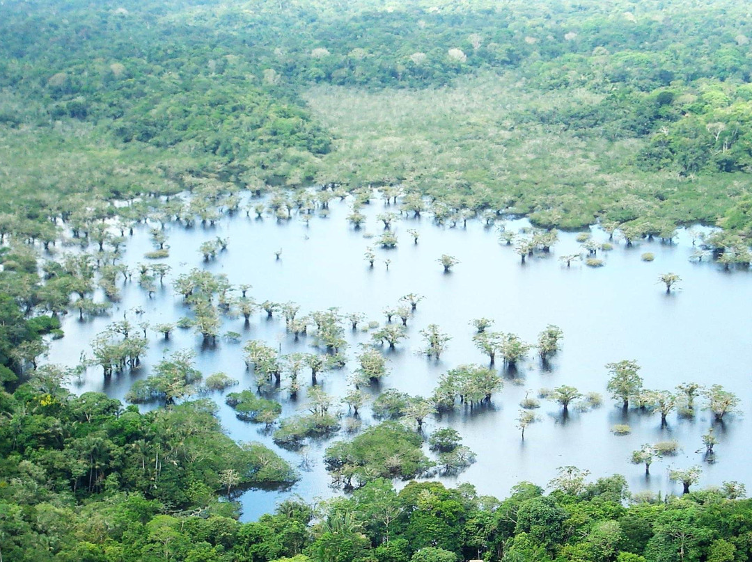 Kingfisher Fishing Tours-Nueva Loja必去景点