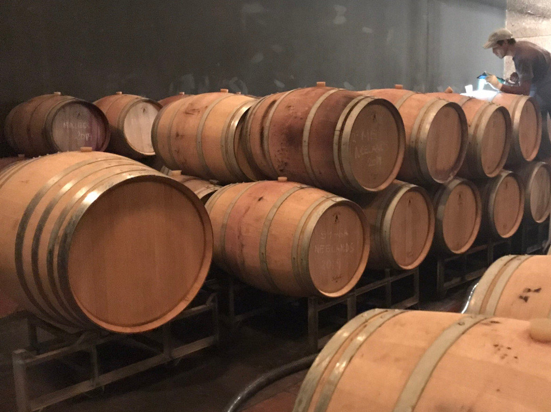 Solo Contigo Wines景点图片
