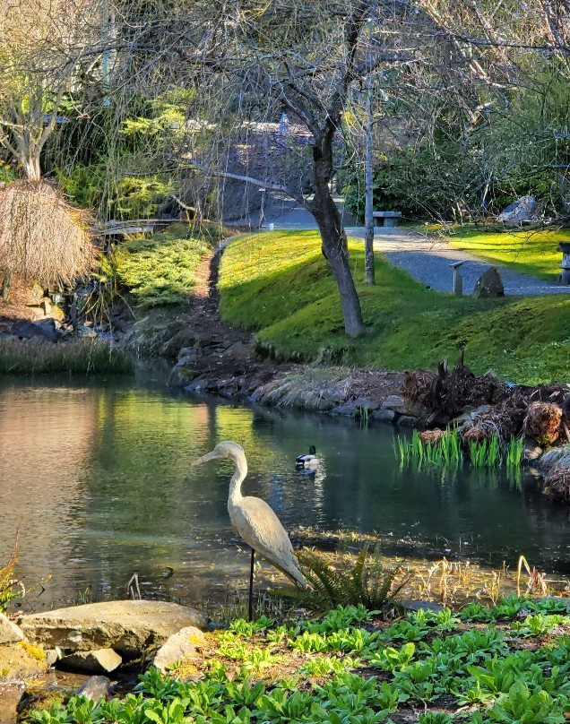Japanese Garden-Mayne Island必去景点