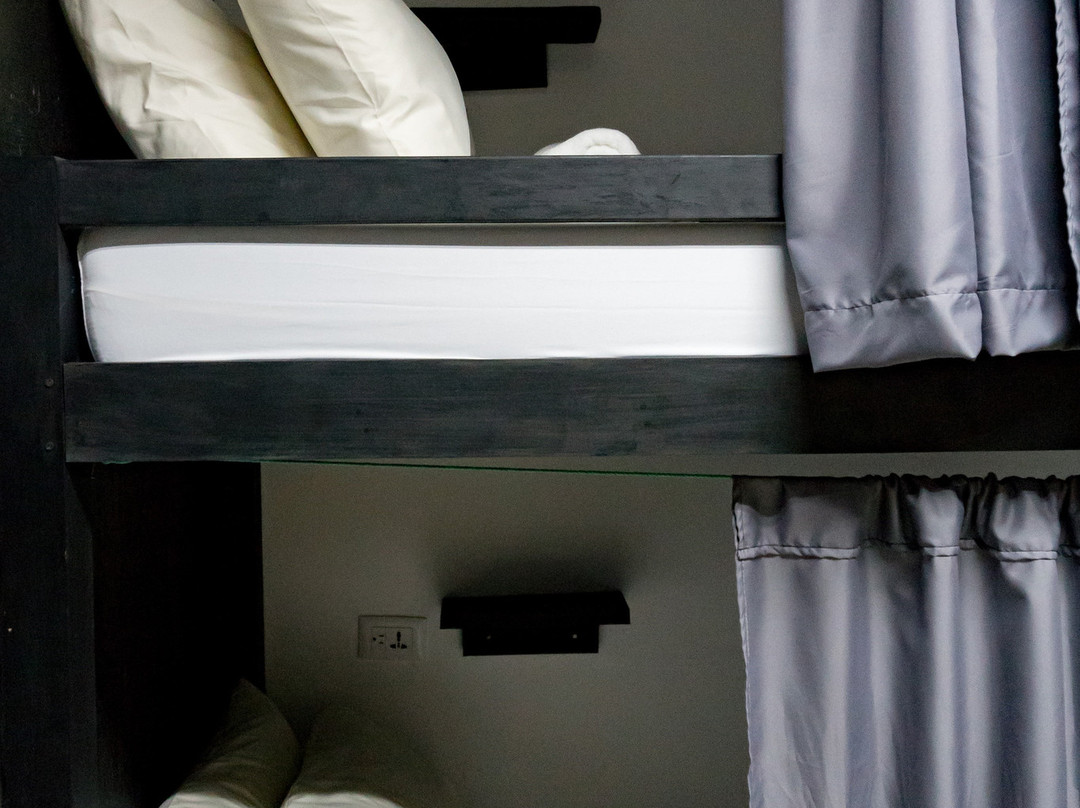 Crazy Bears Hostel主图