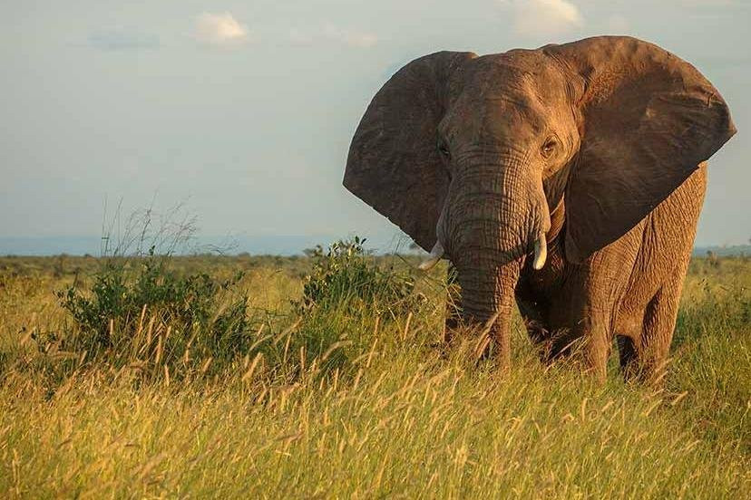 Tony Sparkes Wildlife and Photographic Safaris-霍德斯普鲁特必去景点