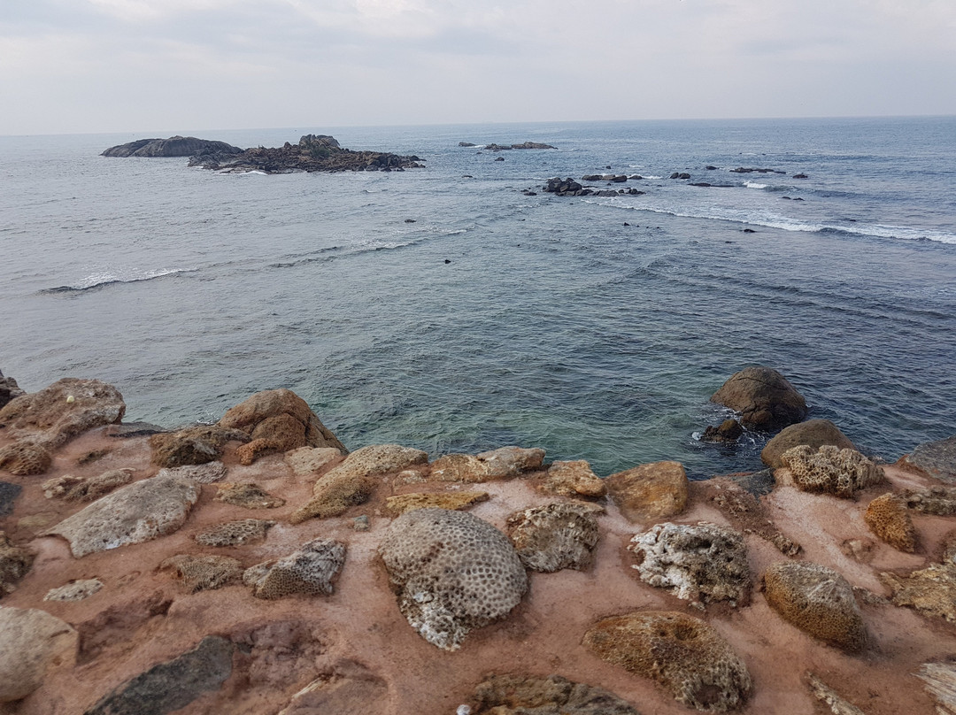 Dee Lanka Tours景点图片