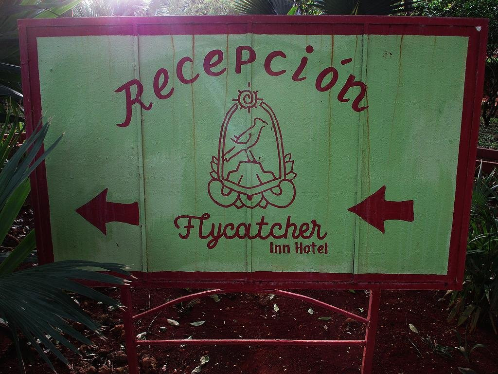 Coyote Mistico Bed & Breakfast主图