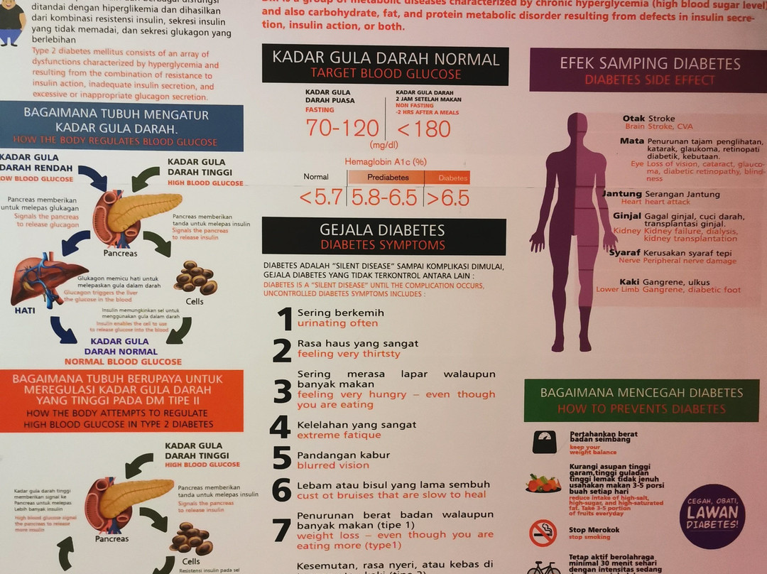 The Bagong Adventure Human Body Museum-巴图必去景点