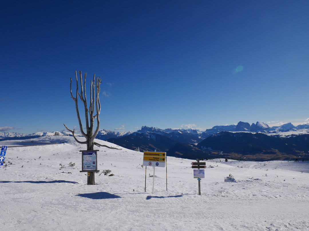 Berghotel Zum Zirm主图