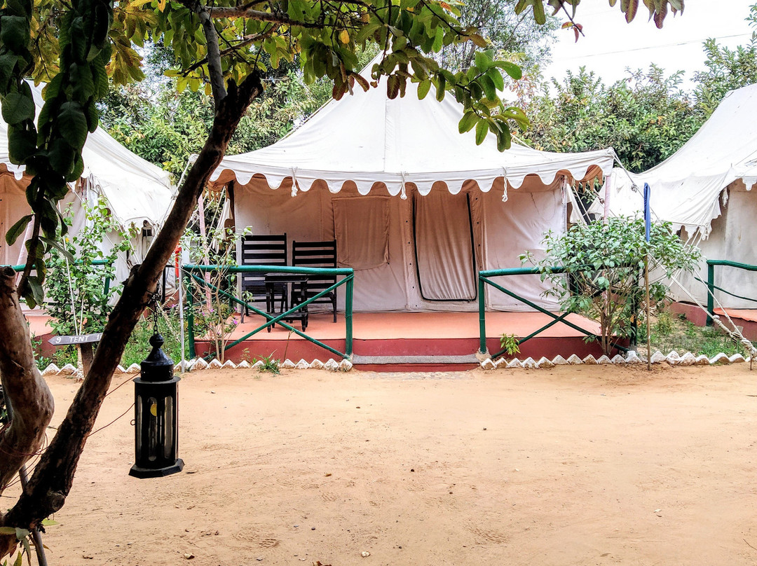 Bagh Dera Camp主图