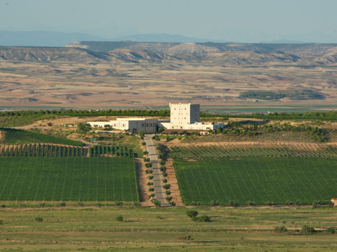 Bodega Pago de Cirsus主图