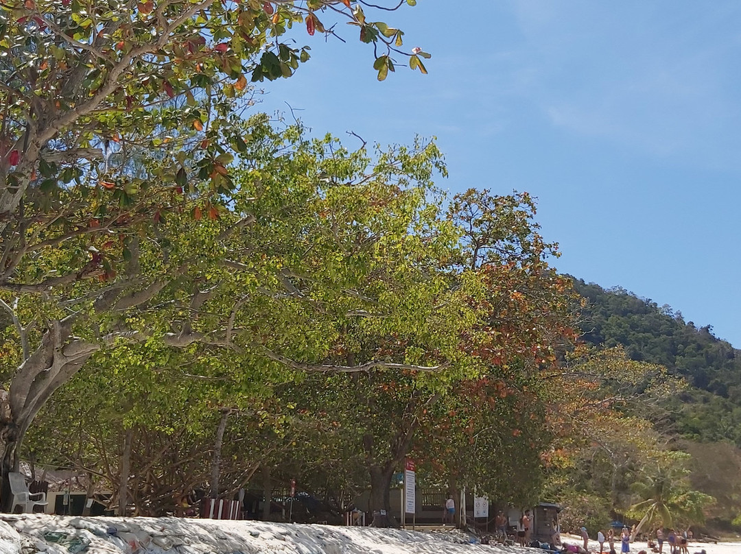 Long Beach-珊瑚岛必去景点