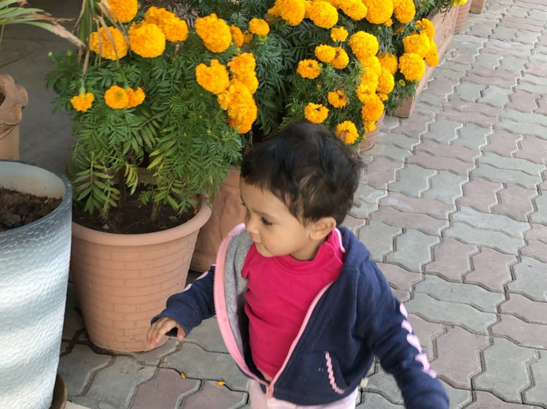 伊斯兰堡富豪酒店主图