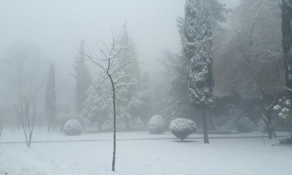 Ushba Travel-第比利斯必去景点