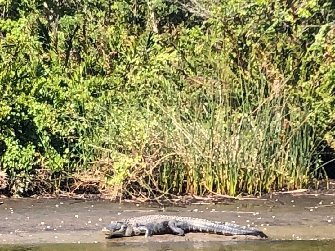 Nav-A-Gator-阿卡迪亚必去景点