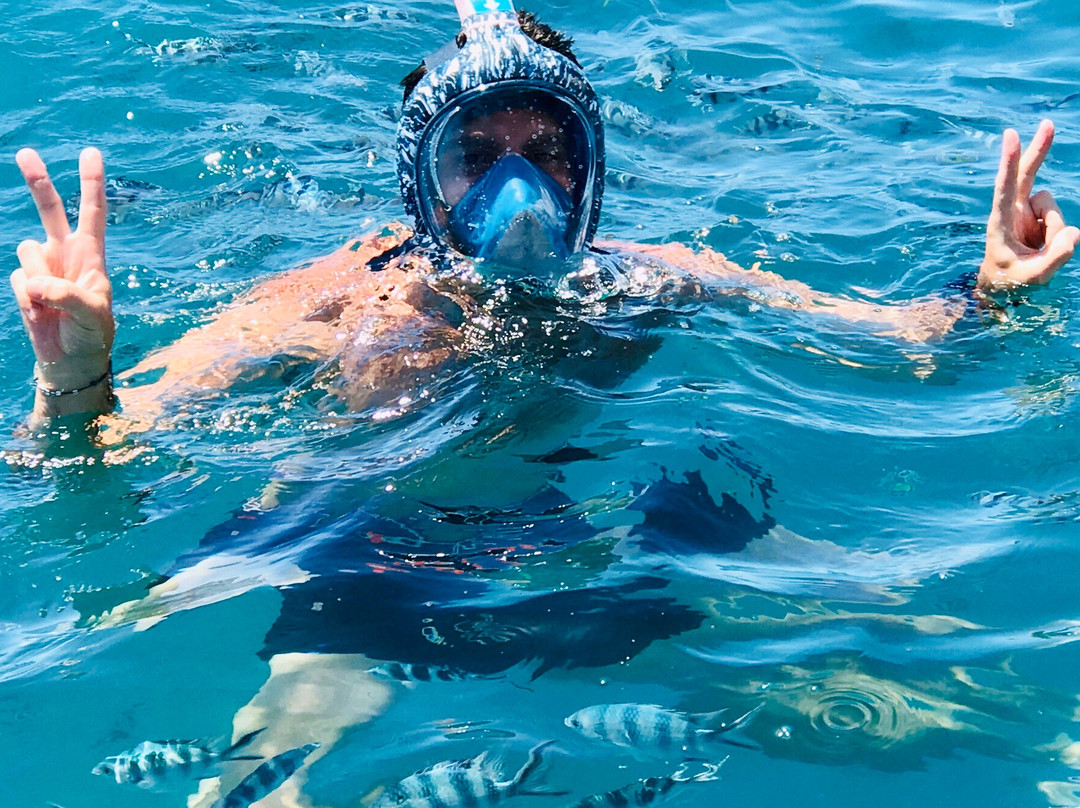 Mombasa Marine National Park-蒙巴萨必去景点