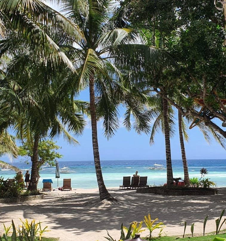 Panglao Grande Resort主图