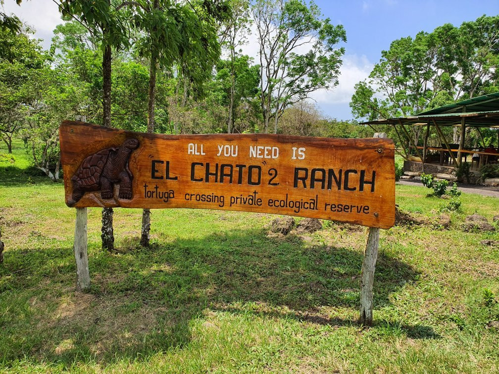 Reserva El Chato景点图片