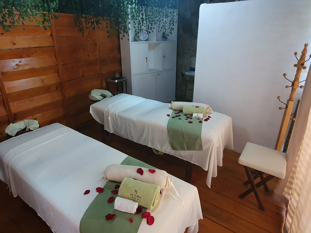 Victoria Hotel y Spa主图