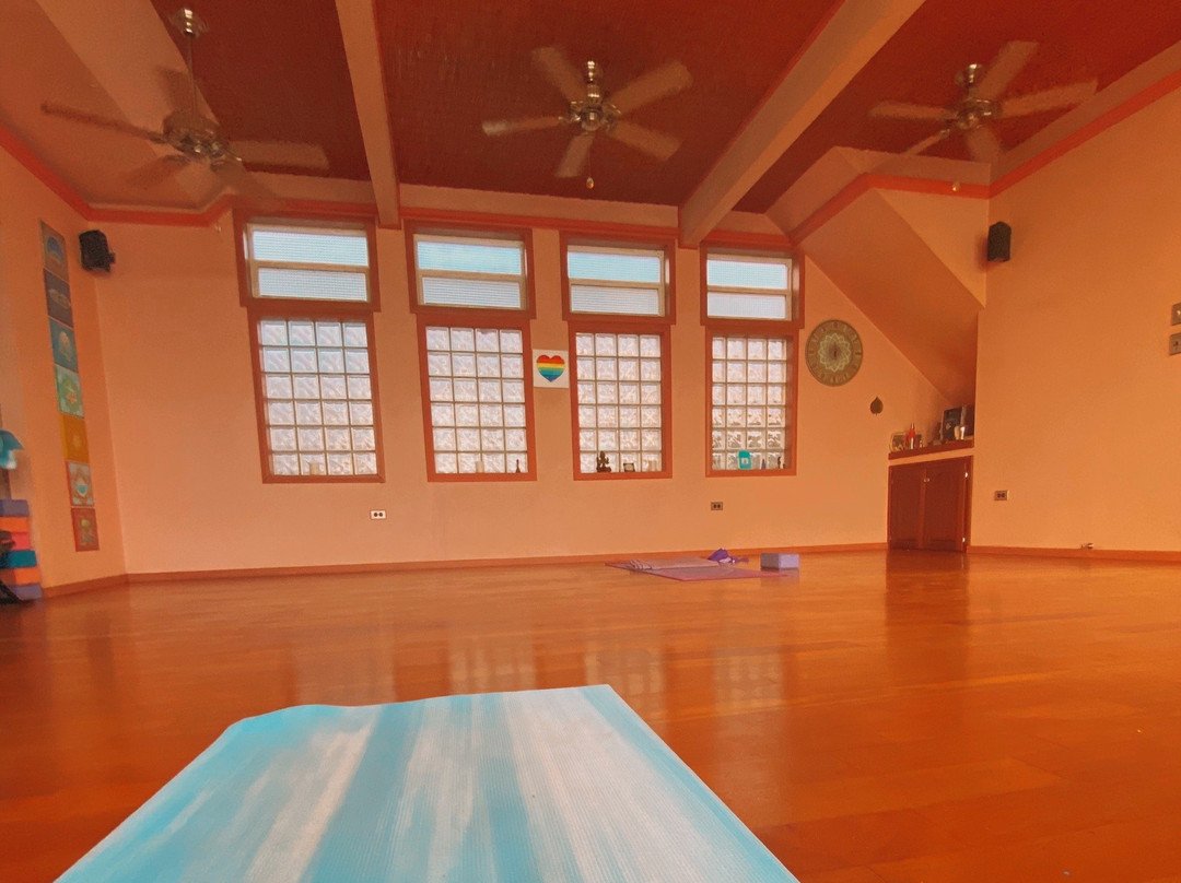 Bocas Yoga景点图片