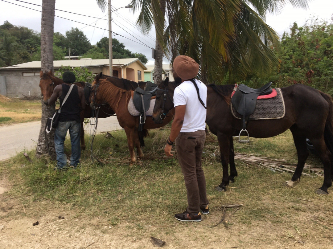 Ride Barbados-Saint Andrew Parish必去景点