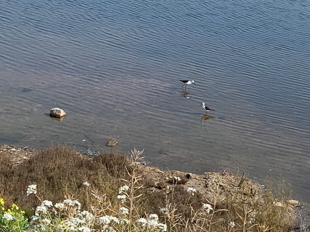 Rio Guadalhorce Nature Reserve景点图片