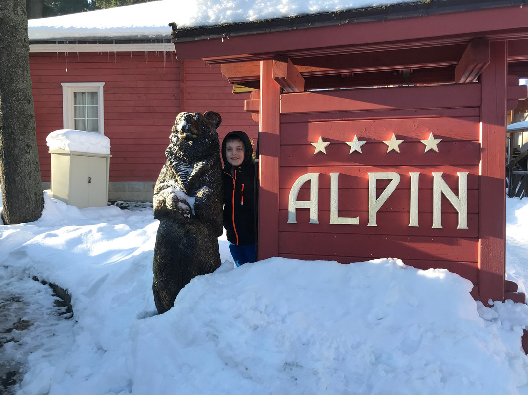 阿尔卑斯酒店主图