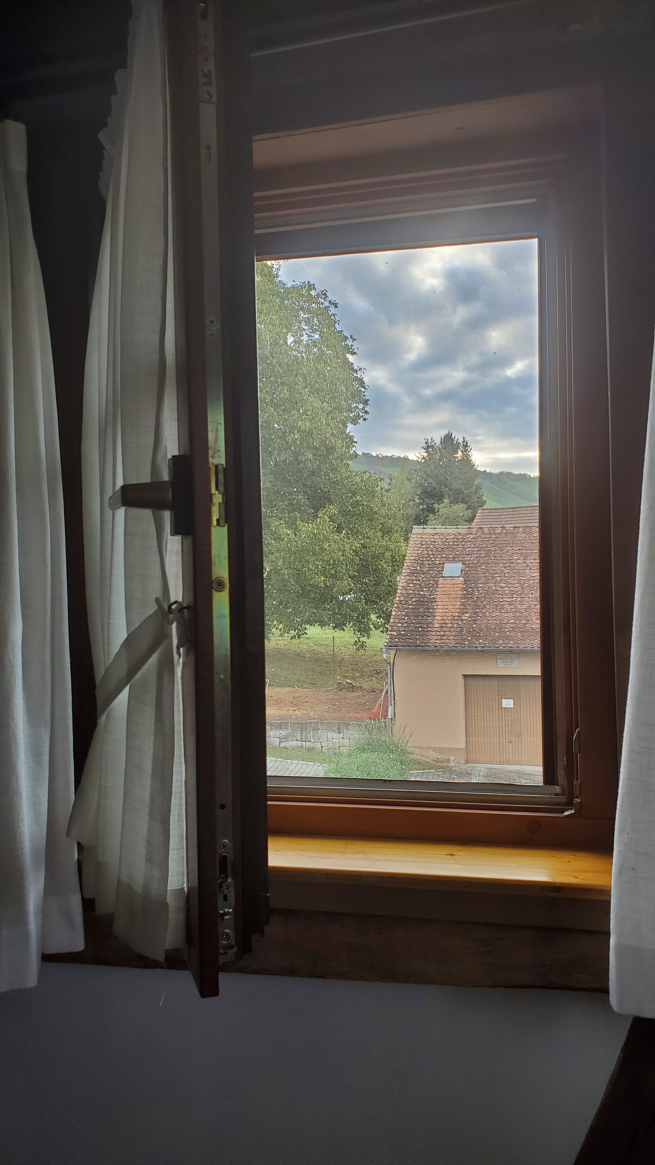 Landhaus zum Falken-酒店景观