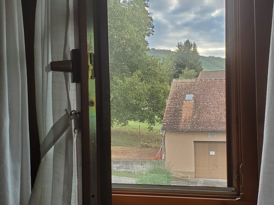 Landhaus zum Falken主图