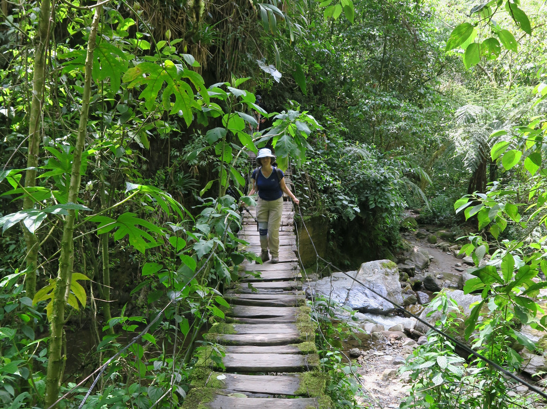 Valle del Cocora-萨伦托必去景点
