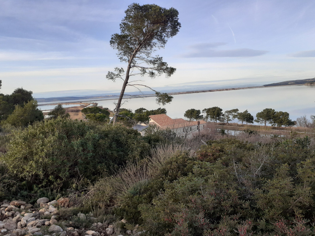 Ile Sainte-Lucie-Port La Nouvelle必去景点