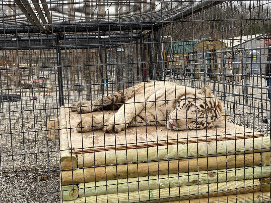 Wildlife In Need, Inc.-Charlestown必去景点