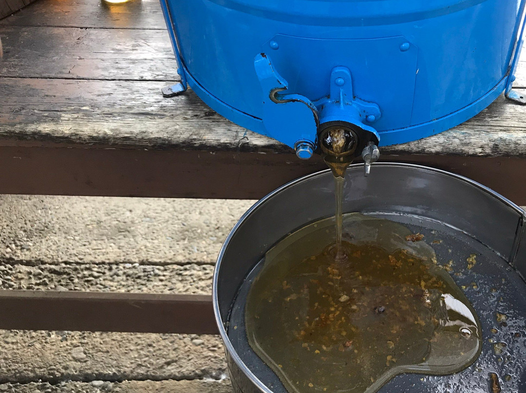 Hachimitsu Kobo-君津市必去景点