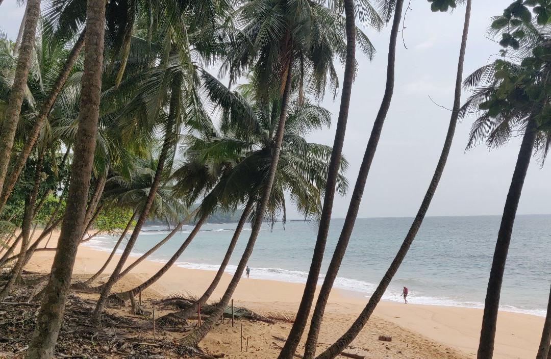 Praia Jale景点图片