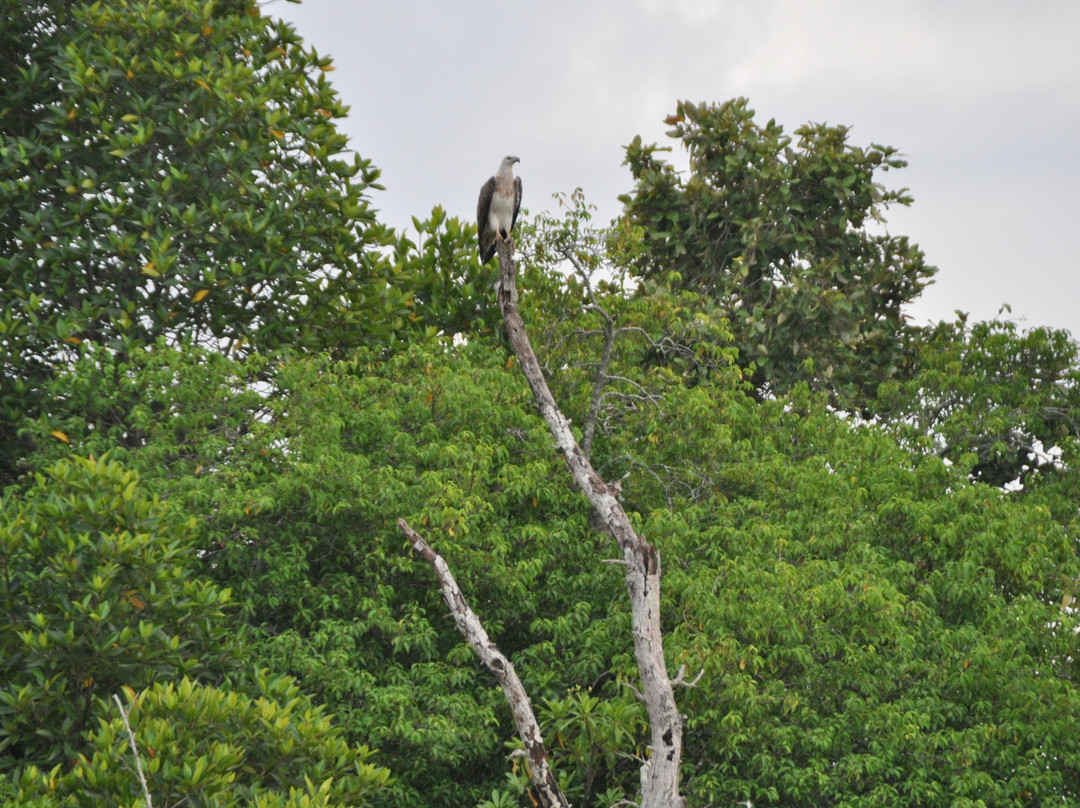 Road Rouch Tours Your Gateway to Sri Lankan Adventures-科伦坡必去景点