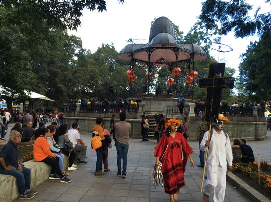 Villa Verde Yoga & Family Hostal主图