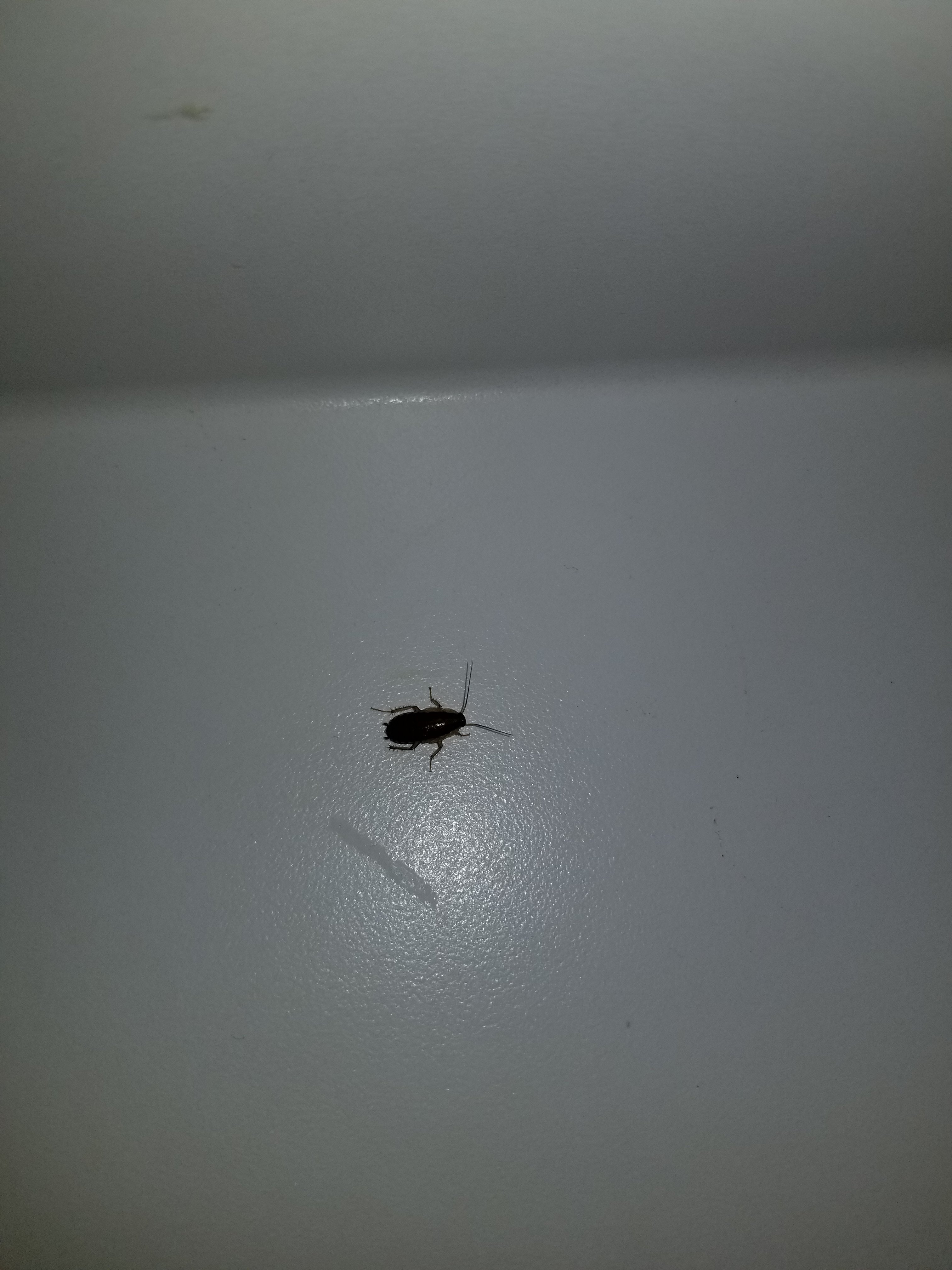 Booneslick Lodge-浴室