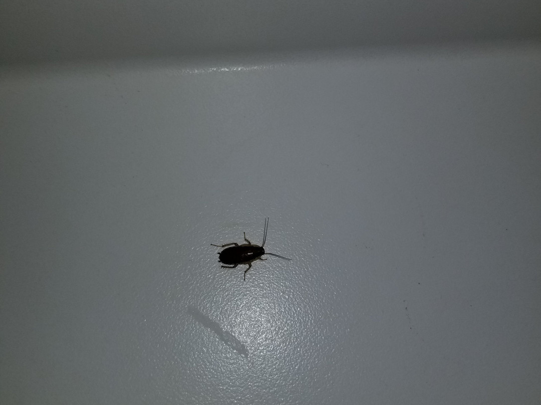 Booneslick Lodge主图