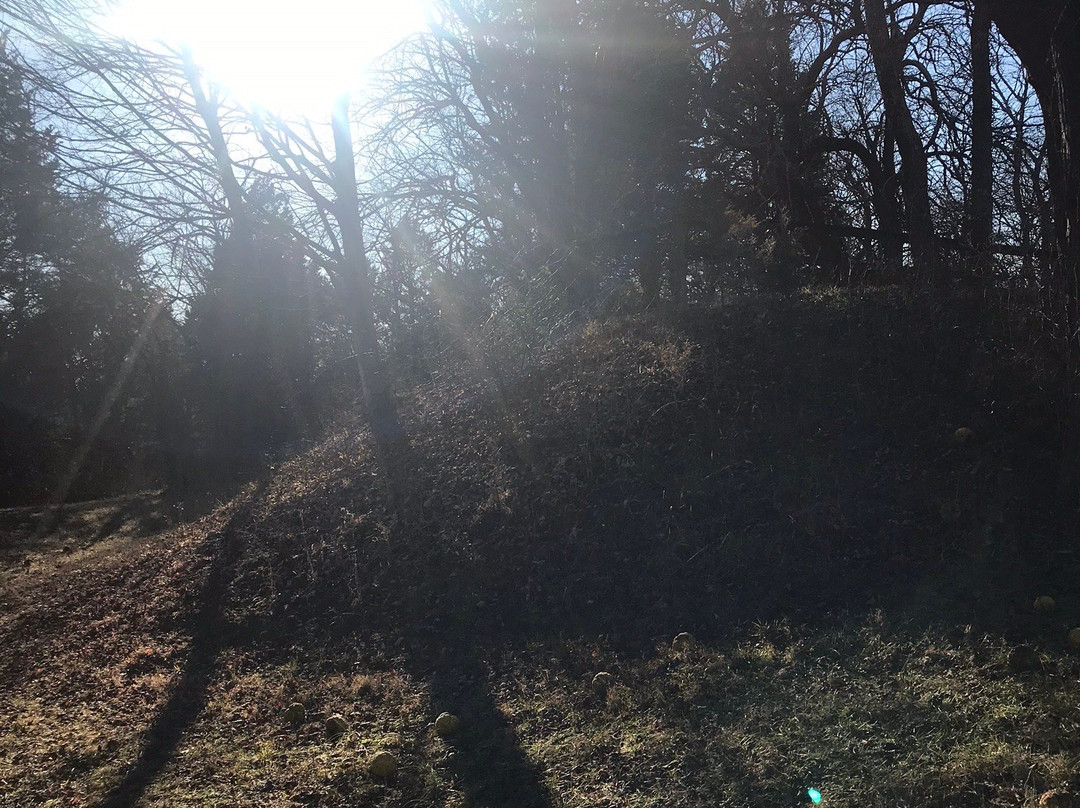 Leslie Morris Park on Fort Hill-法兰克福必去景点