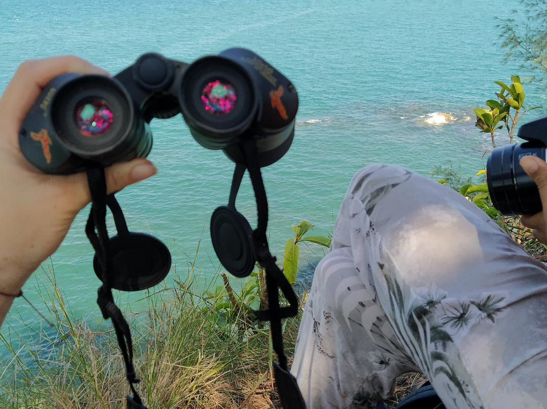 Naucrates-阁普拉通岛必去景点