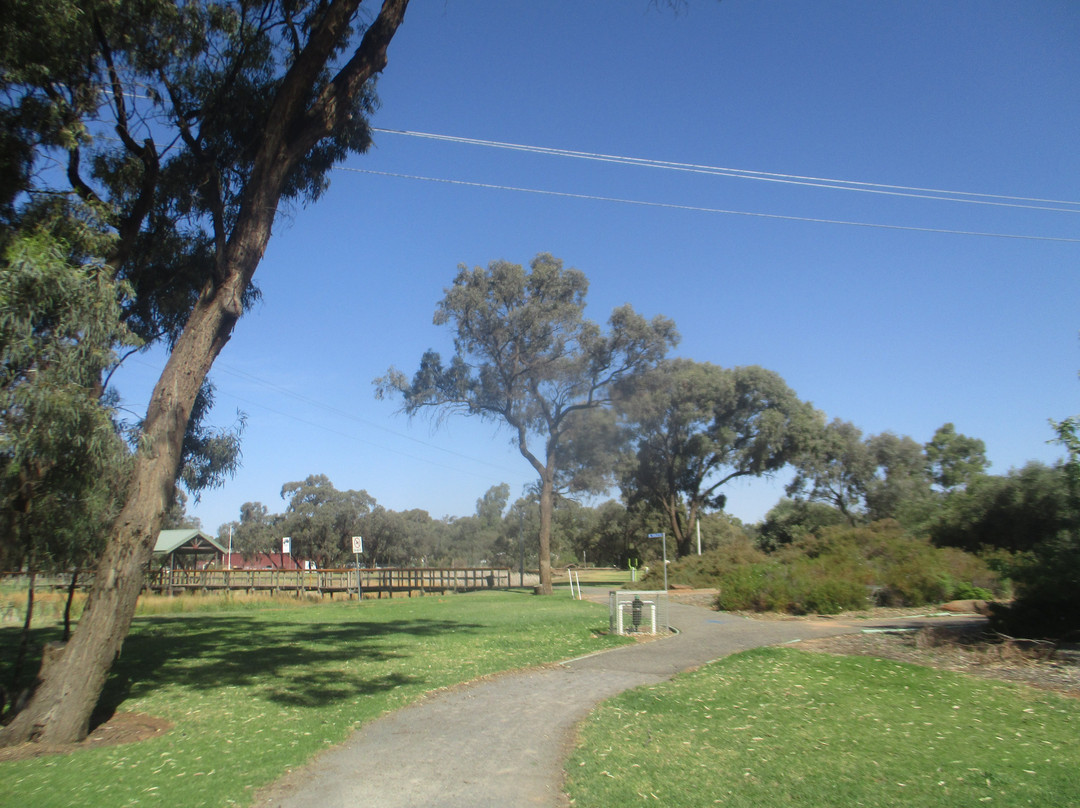Buronga Wetlands-Buronga必去景点