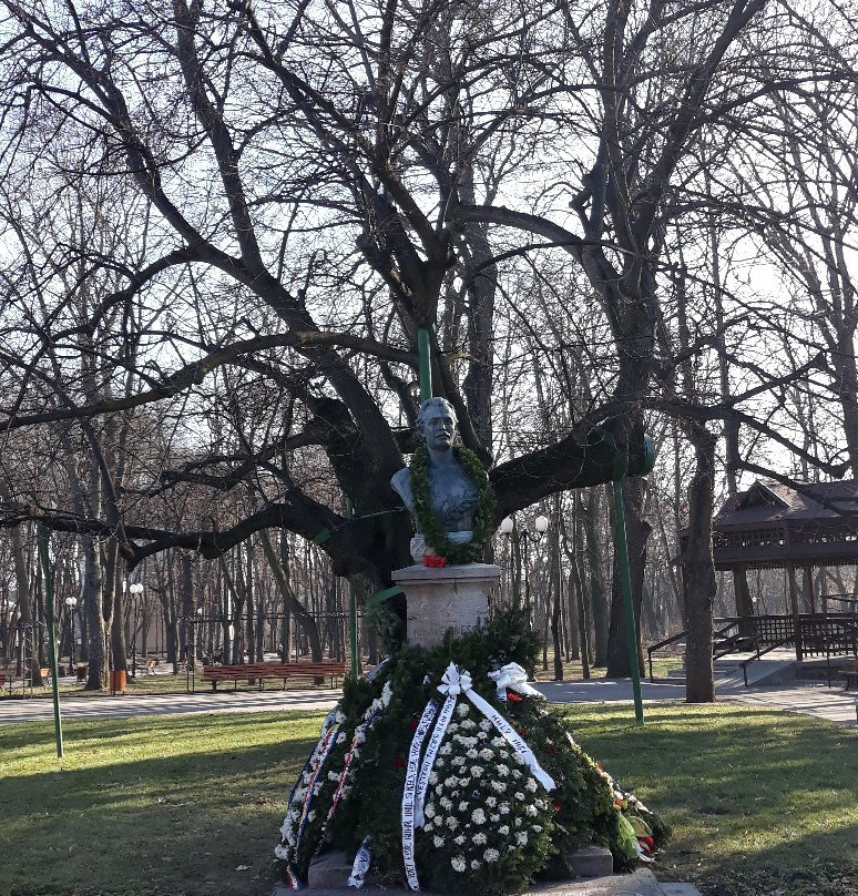 Copou Parc (Grădina Copou)-雅西必去景点
